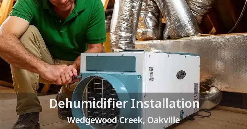 Dehumidifier Installation Wedgewood Creek, Oakville - ON
