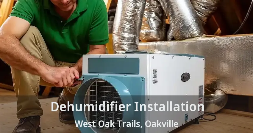 Dehumidifier Installation West Oak Trails, Oakville - ON