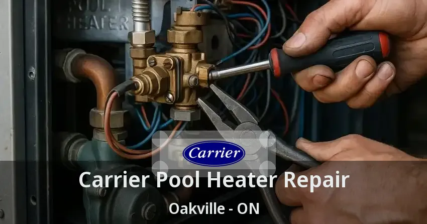 Carrier Pool Heater Repair Oakville - ON